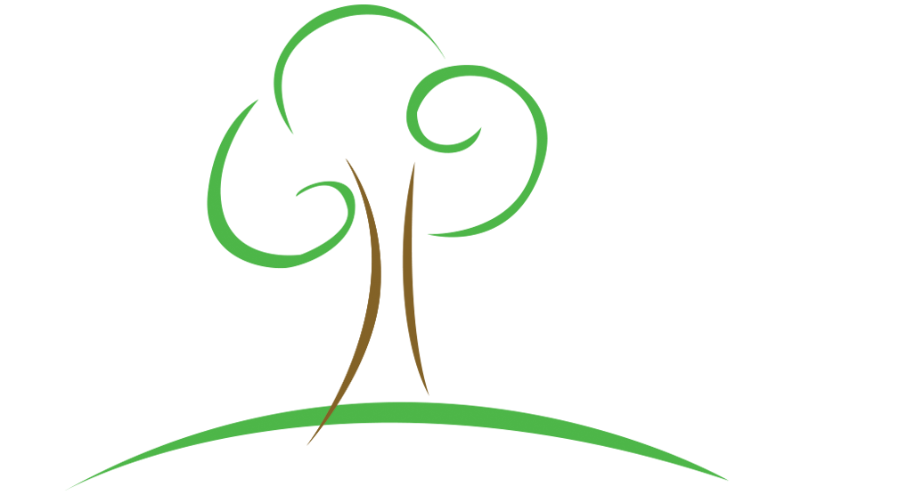 Zahedee Foundation logo