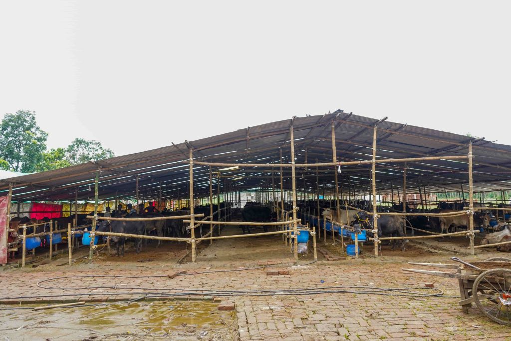 Eid Ul Adha-2023 meat distribution